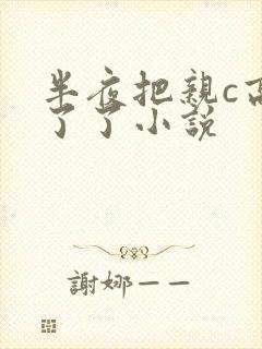 半夜把亲c高潮了了小说