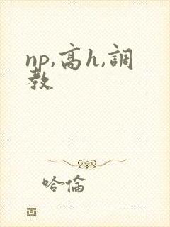 np,高h,调教