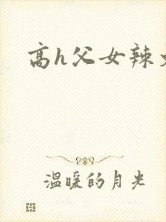 高h父女辣文