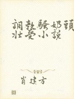 调教骚奶头黑皮壮受小说封面
