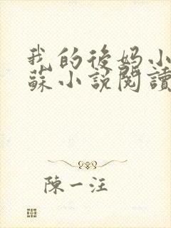 我的后妈小姨苏苏小说阅读封面