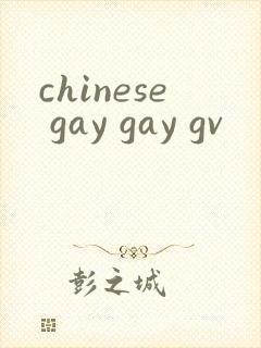 chinese gay gay gv封面