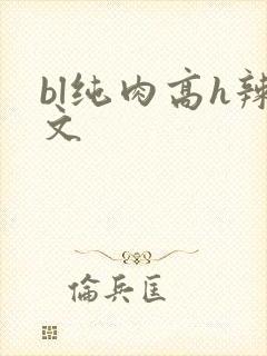bl纯肉高h辣文