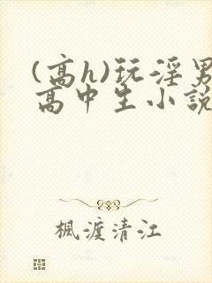 (高h)玩淫男高中生小说