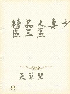 精品人妻少妇二区三区