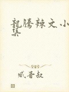 龙腾辣文小说合集