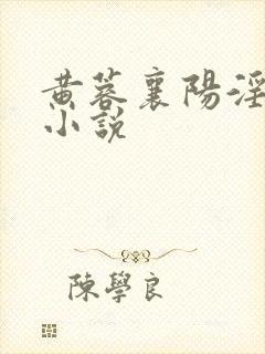 黄蓉襄阳淫史 小说