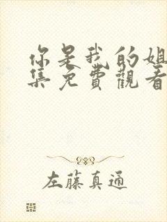 你是我的姐妹全集免费观看电视剧