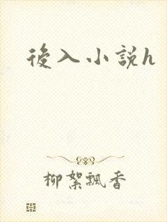 后入小说h