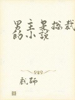 男主是总裁姓沈的小说