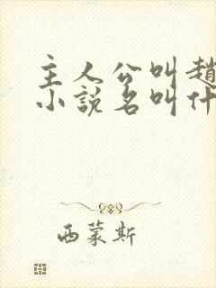 主人公叫赵旭的小说名叫什么