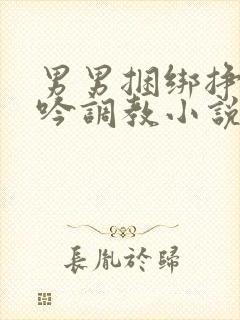 男男捆绑挣扎呻吟调教小说