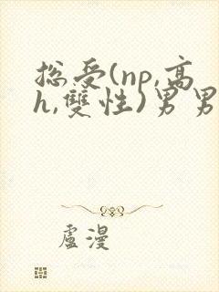 总受(np,高h,双性)男男
