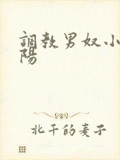 调教男奴小说虐阳