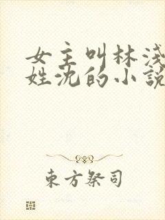 女主叫林浅男主姓沈的小说