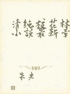 清纯校花林幼然小说最新章节