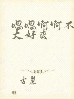 嗯嗯啊啊不要好大好爽封面