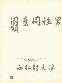 国产同性男男视频