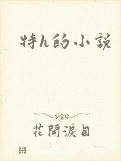 特h的小说封面