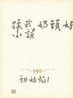 揉我奶头好爽嗯小说封面