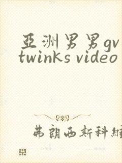 亚洲男男gv twinks video