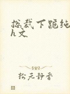 总裁下跪纯肉高h文封面