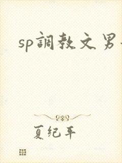 sp调教文男女