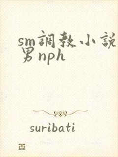 sm调教小说男男nph