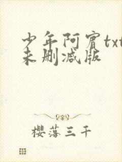 少年阿宾txt未删减版