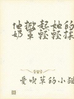 他掀起她的蕾丝奶罩轻轻揉小说片段