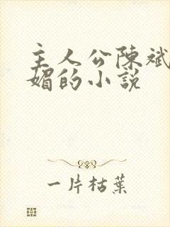 主人公陈斌赵心媚的小说封面