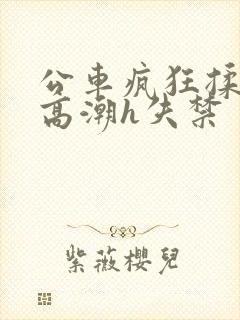 公车疯狂揉肉蒂高潮h失禁封面