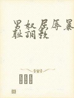 男奴屈辱暴露羞耻调教