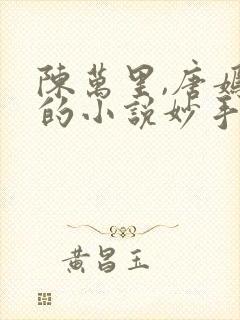 陈万里,唐嫣然的小说妙手大仙医