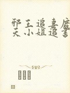 邪王追妻废材逆天小姐追书封面