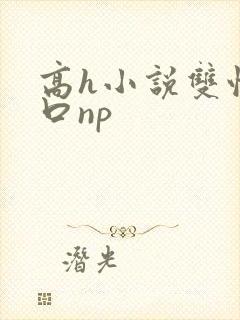 高h小说双性重口np封面