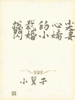 总裁的心尖宠是闪婚小娇妻