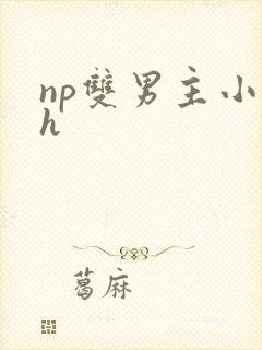 np双男主小说h封面