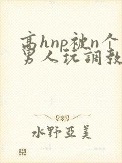 高hnp被n个男人玩调教