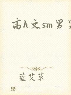 高h文sm男男