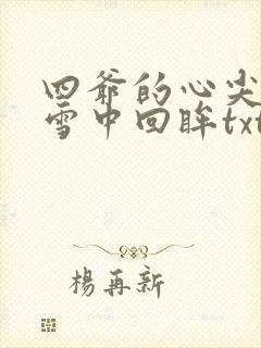 四爷的心尖宠妃雪中回眸txt下载