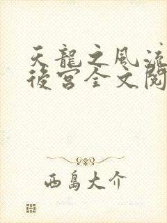 天龙之风流猎艳后宫全文阅读封面