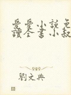 爱爱小说免费阅读全书小叔叔