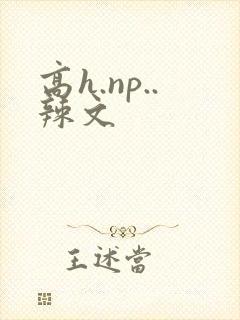 高h.np..辣文封面