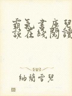 霸气书库儿媳小说在线阅读