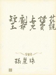 短剧上错花轿嫁王爷免费观看