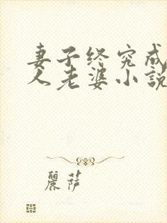 妻子终究成了别人老婆小说