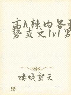 高h辣肉各种姿势爽文1v1男男封面