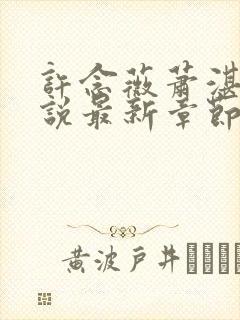 许念薇萧湛明小说最新章节免费阅读