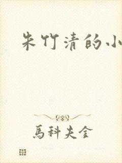 朱竹清的小说